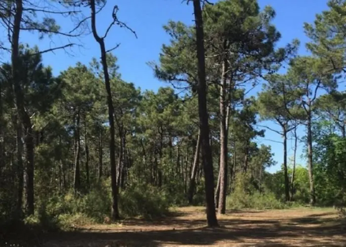 Mobil Confortable Avec Terrasse Pour 6 Personnes - Api-1-52-882 Notre-Dame-de-Monts