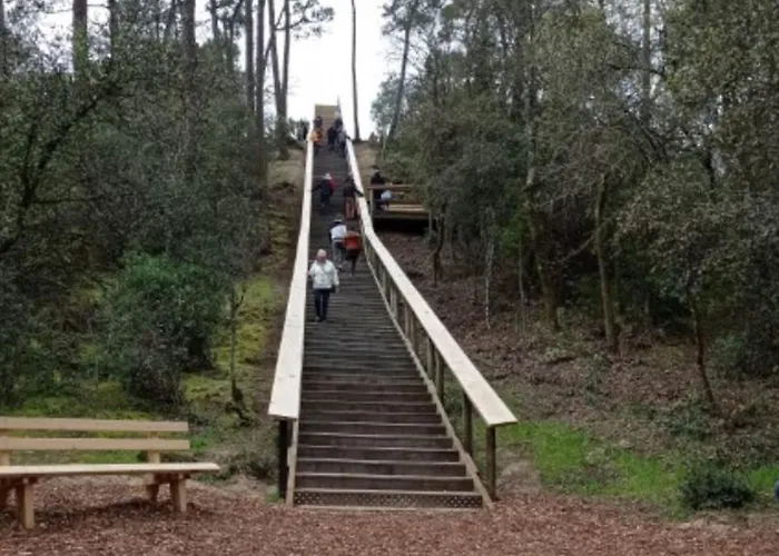 Mobil Confortable Avec Terrasse Pour 6 Personnes - Api-1-52-882 Kemp *